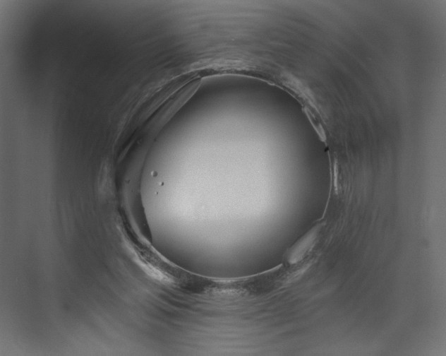 X0000073990205200608281322