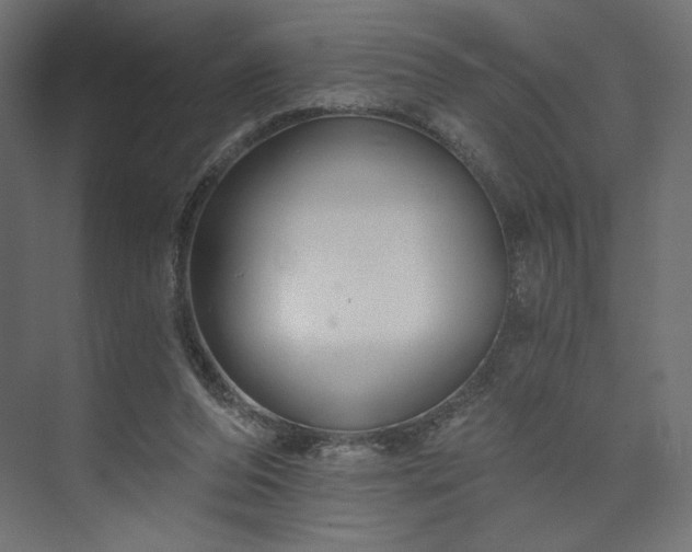 X0000073990208200608281322