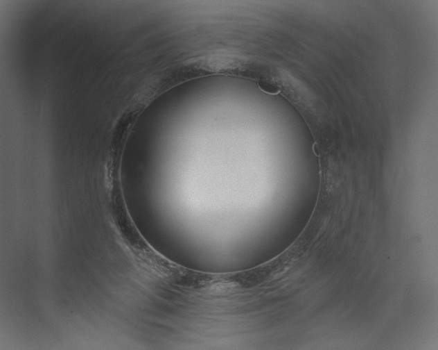 X0000073990210200608281322