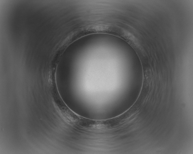 X0000073990212200608281322