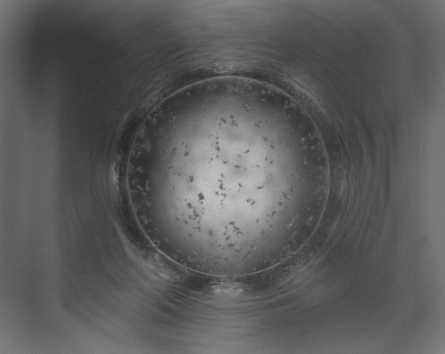 X0000073990214200608281322