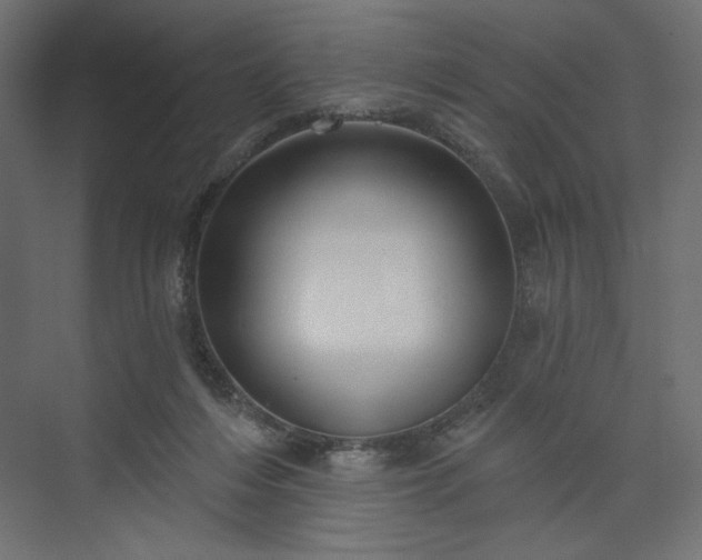 X0000073990216200608281322