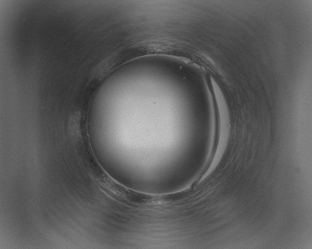 X0000073990217200608281322