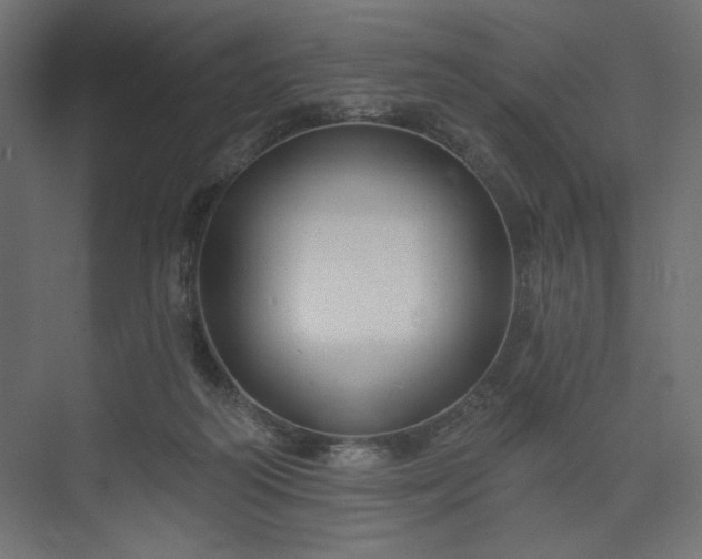 X0000073990218200608281322