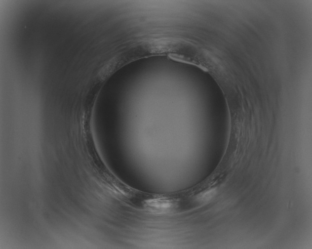 X0000073990219200608281322