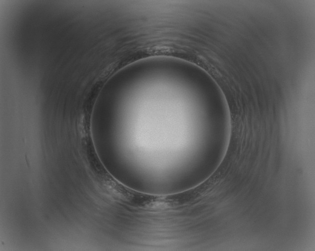 X0000073990224200608281322