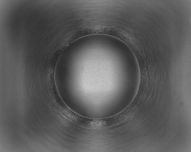 X0000073990225200608281322