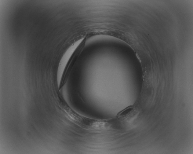 X0000073990227200608281322