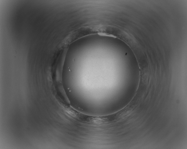 X0000073990229200608281322