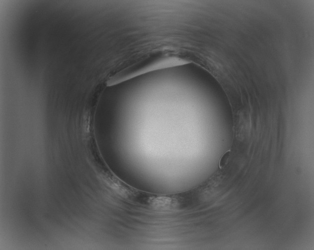 X0000073990230200608281322