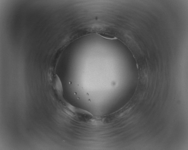 X0000073990232200608281322