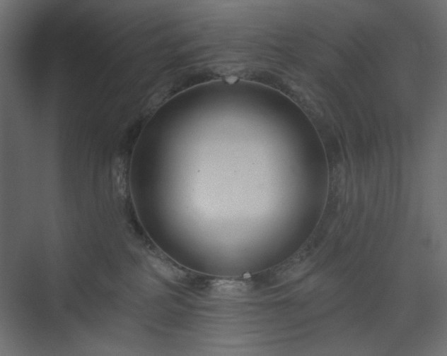 X0000073990234200608281322