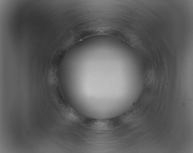 X0000073990236200608281322