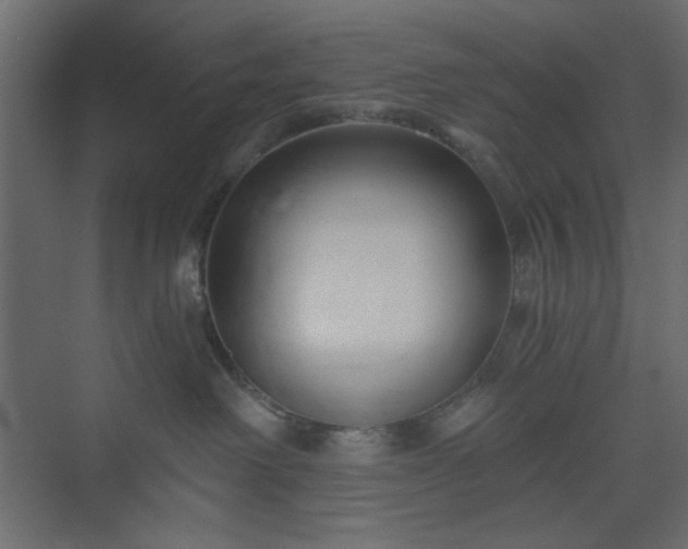 X0000073990238200608281322