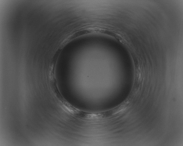 X0000073990239200608281322