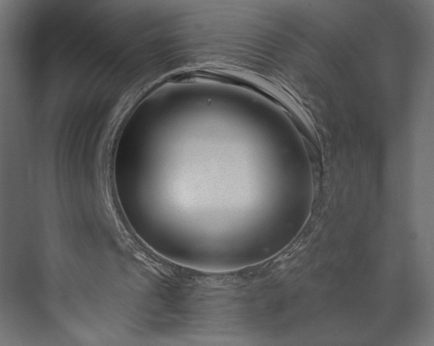 X0000073990241200608281321