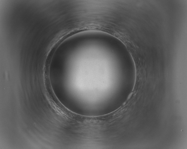 X0000073990242200608281321