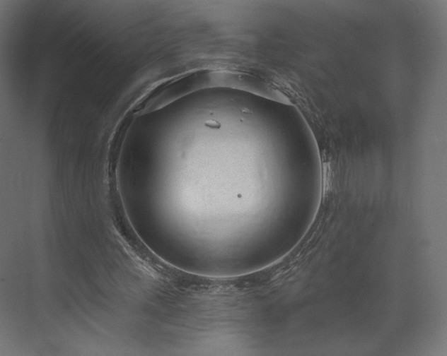 X0000073990243200608281321