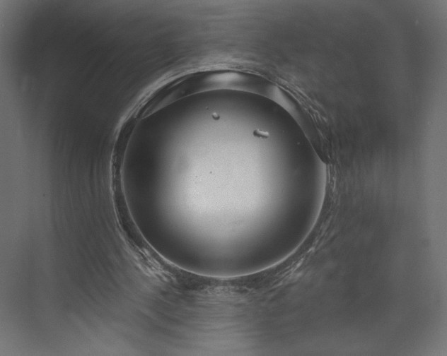 X0000073990244200608281321