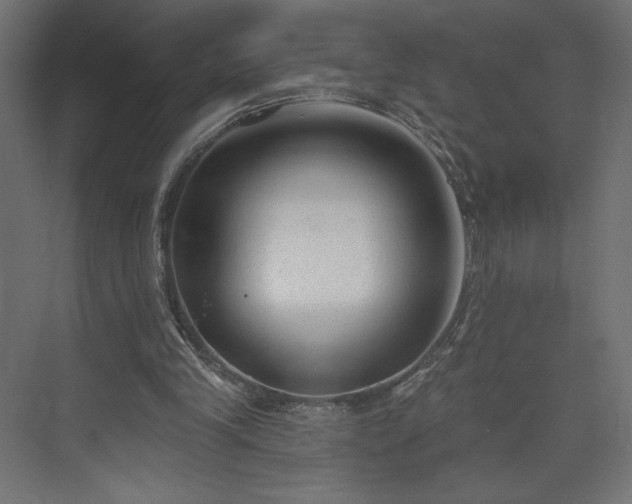 X0000073990245200608281321