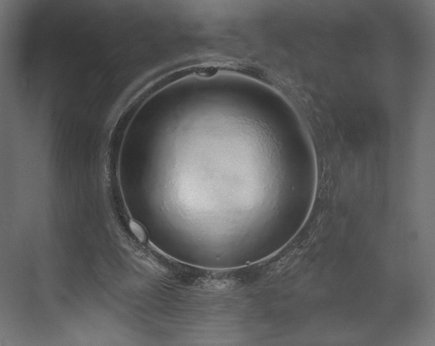 X0000073990247200608281321