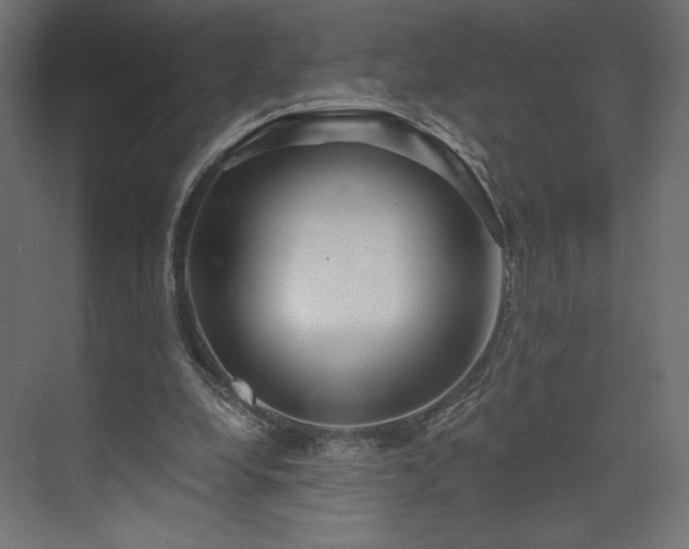 X0000073990248200608281321