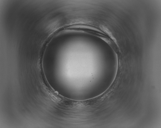 X0000073990249200608281321