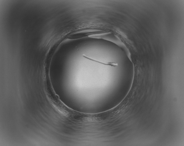 X0000073990250200608281321