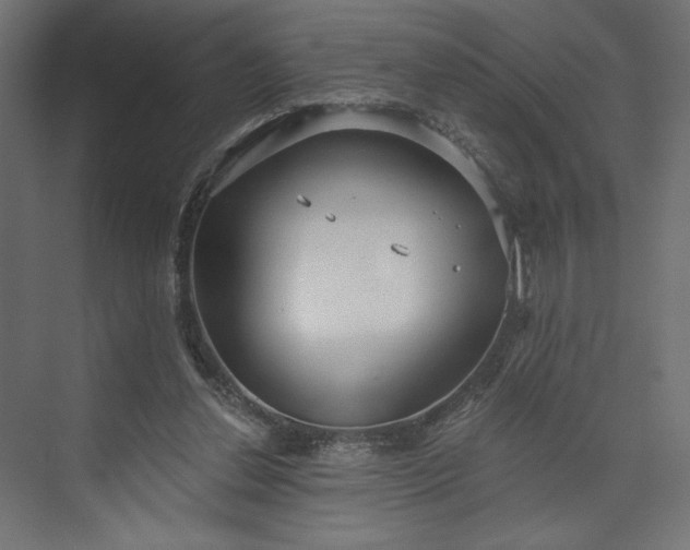 X0000073990252200608281321