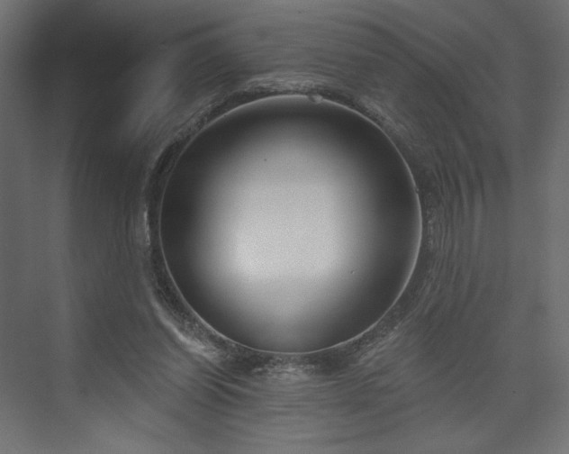 X0000073990254200608281321