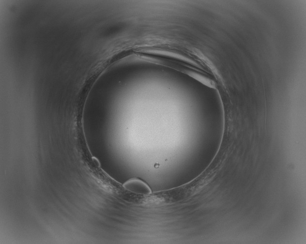 X0000073990257200608281321