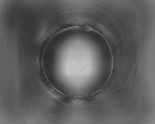 X0000073990258200608281321