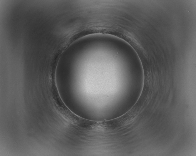 X0000073990259200608281321