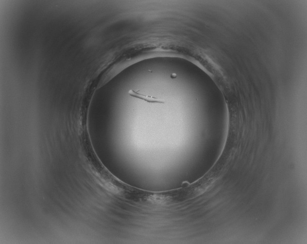 X0000073990261200608281321