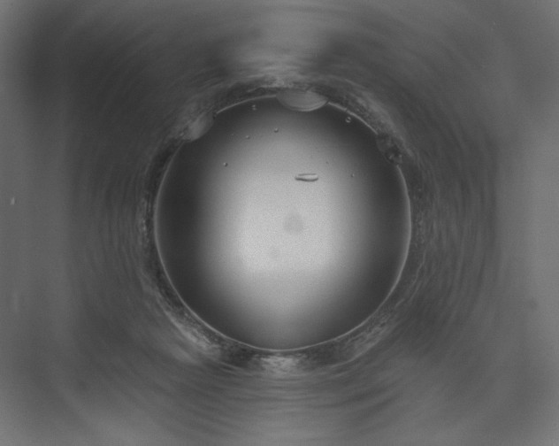 X0000073990265200608281321