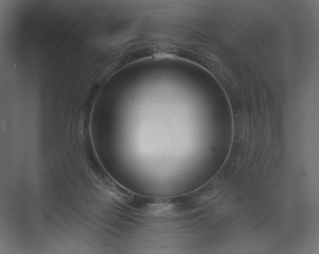 X0000073990266200608281321