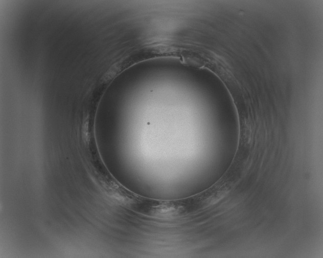 X0000073990267200608281321