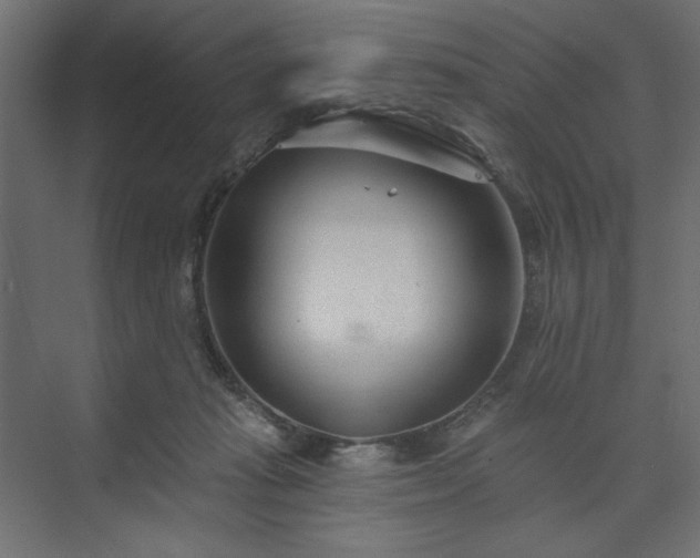 X0000073990269200608281321