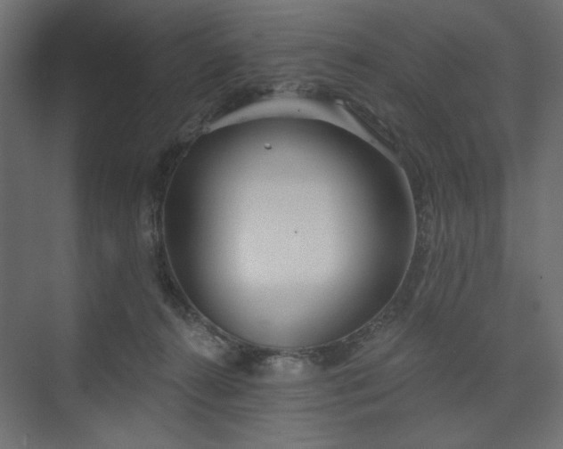 X0000073990272200608281322