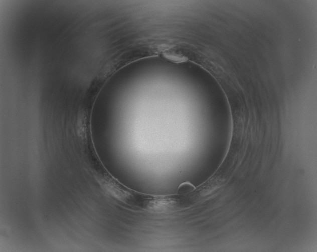 X0000073990274200608281322