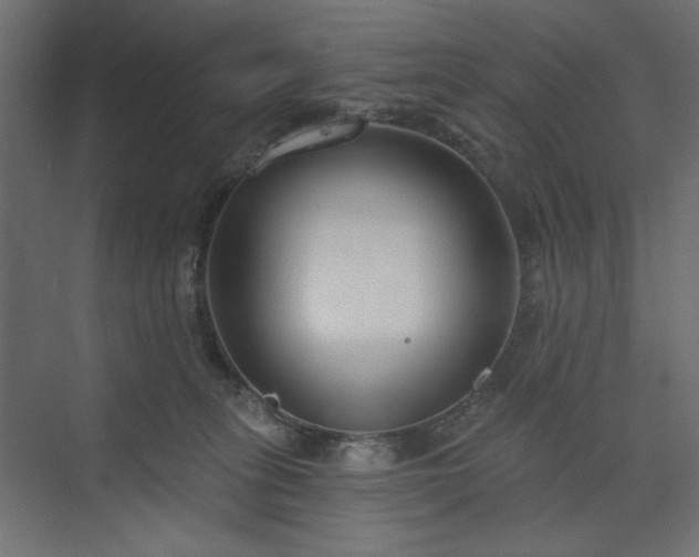 X0000073990275200608281322