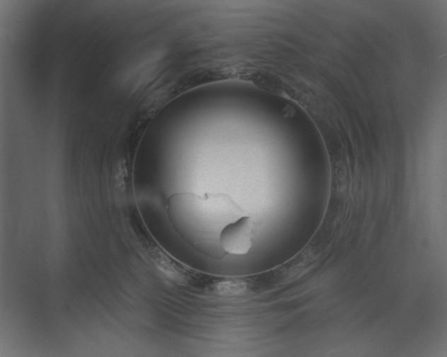 X0000073990279200608281322