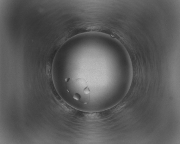 X0000073990281200608281322