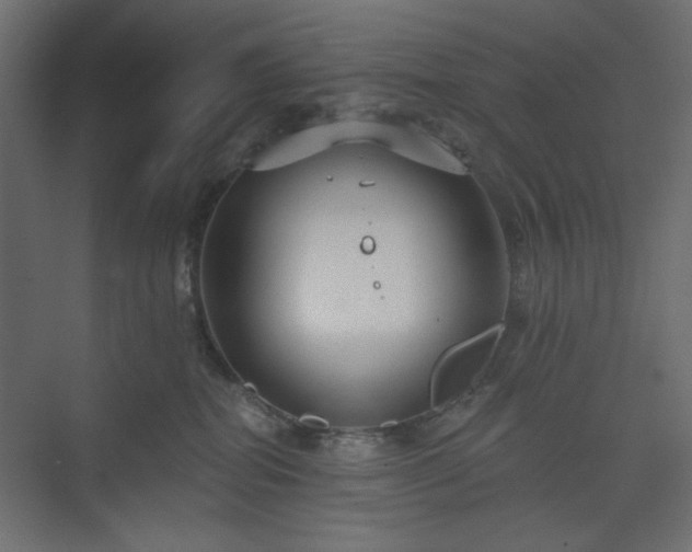 X0000073990282200608281322