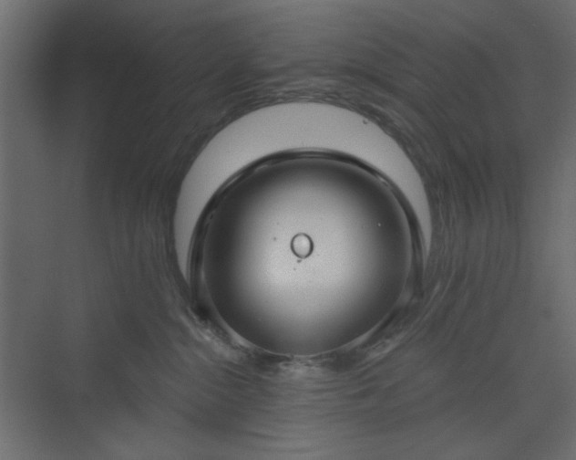 X0000073990284200608281322