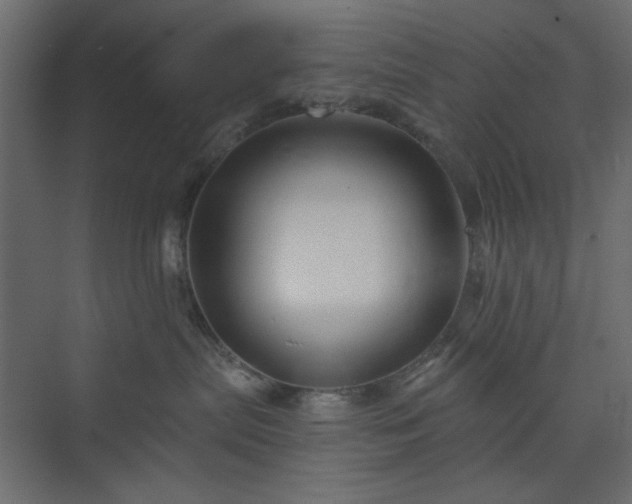 X0000073990287200608281322