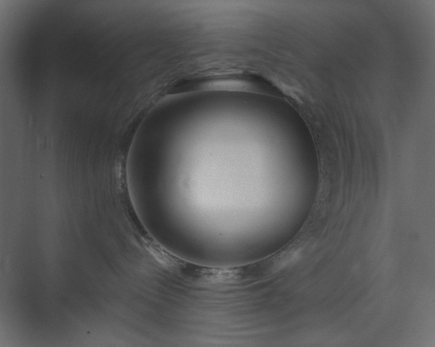 X0000073990288200608281322