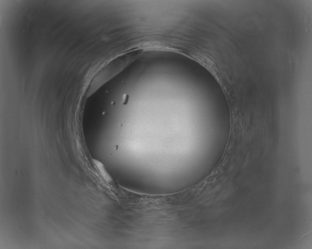 X0000073990289200608281321