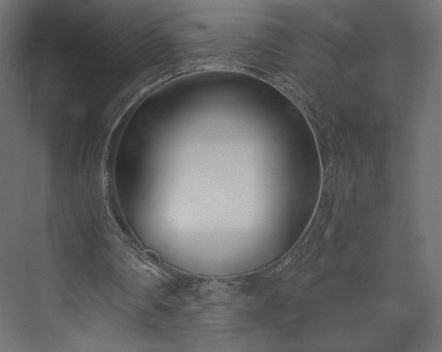 X0000073990290200608281321