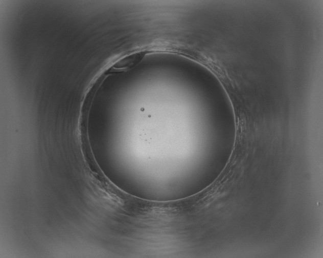 X0000073990292200608281321